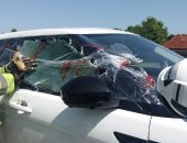  رجال الإطفاء فى بريطانيا ينقذون كلبا محبوسا داخل سيارة.. صور