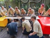 العثور على ثعبان ضحم يزن 160 كيلو جرام بمدينة ببريطانيا  