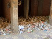 قارئ يشكو من وجود محلات لجمع القمامة وإيواء الخارجين عن القانون بنزلة السمان