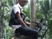 "الحاجة أم الاختراع".. هندى يبتكر وسيلة حديثة لصعود النخل.. فيديو 