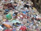شكوى من انتشار القمامة بشارع الكوتاهية الإبراهيمية بالإسكندرية