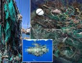 تخيل.. حملة لتنظيف المحيط الهادئ تكشف عن 40 طن مخلفات بلاستيكية