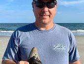 على شاطئ ولاية كارولينا.. اكتشاف "سن" سمكة قرش عملاقة انقرضت منذ 3 ملايين سنة