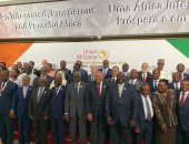 نص كلمة وزير الخارجية بافتتاح الدورة الـ35 للمجلس التنفيذي للاتحاد الأفريقيى بالنيجر