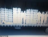 35 بنى آدم جوه شاحنة.. شوف إزاى الأشعة السينية بتكشف تهريب البشر.. صور