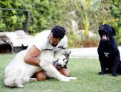 صور.. غربان وقطط وكلاب.. فنانون اختاروا أصدقائهم من الحيوانات