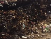 قارئ يشكو من تراكم القمامة بقرية "ميت مسعود" بالدقهلية