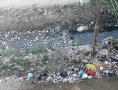 "بؤرة تلوث" شكوى من تحول ترعة النجيلة بمحافظة البحيرة إلى مقلب للقمامة