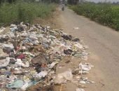 القمامة تحاصر أهالى قرية بشبيش بالغربية: تنشر رائحة كريهة وحشرات ضارة