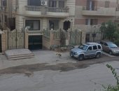 الكلاب الضالة بالمجاورة الثانية بالحى الثانى بأكتوبر تزعج الأهالى