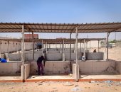 صور.. نقل سوق أسماك بئر العبد بشمال سيناء لموقع جديد