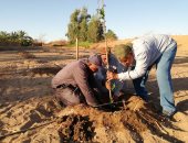 صور.. تنفيذ أول مزرعة أشجار توت لإنتاج الحرير الطبيعى بقرية البشندى بالوادى الجديد 