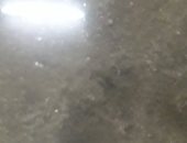 مياه فى جراج تهدد حياة سكان عقار بشارع محمد نظمى بالهرم