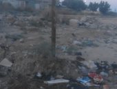 شكوى من انتشار القمامة بنجع عبدالرواف بحى العامرية بالإسكندرية