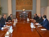 وزير الخارجية يؤكد على أهمية توفير الرعاية اللازمة للمصريين بالخارج