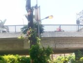 أعمدة الإنارة مضاءة أعلى كوبرى أكتوبر وأمام المتحف الزراعى الساعة 12 ظهرا