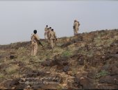 الجيش اليمنى يحقق انتصارات على مليشيا الحوثى فى محافظة البيضاء