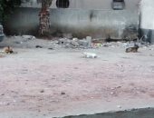صور.. رواد محطة الأتوبيس بمدينة دمياط يشكون انتشار الكلاب الضالة