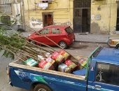 أهالى بورسعيد يطلقون مبادرة ازرع شجرة لتشجير شوارع المحافظة