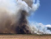 حاكم هاواى يعلن حالة الطوارئ فى جزيرة ماوى بسبب حرائق الغابات