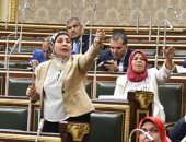 صور.. البرلمان: لا يجوز لعضو مجلس الإدارة الجمعية الأهلية تقاضى مقابل حضور الجلسات