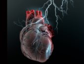 جمعية القلب الأمريكية: 5 عوامل غير معروفة تهدد صحة قلبك وتعرضك للمخاطر
