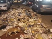 قارئ يشكو من انتشار القمامة بشارع أنور المفتى مدينة نصر