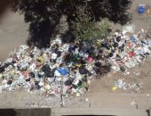 شكوى من تراكم القمامة بشارع الخماراوية بشبرا 
