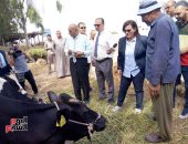 صور .. نائب وزير الزراعة تتابع أعمال التحصين والتسجيل بالأكمنة بكفر الشيخ