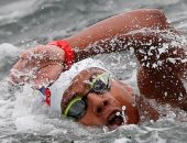 استمرار فعاليات بطولة العالم الـ18 للسباحة بكوريا الجنوبية