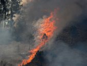 إصابة 7 من رجال الإطفاء وإخلاء قرية بسب حرائق الغابات فى البرتغال