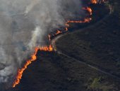 أكثر من 900 رجل إطفاء يكافحون الحرائق وسط البرتغال