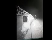 شاهد ..لحظة اقتحام دب لأحد المطارات فى أقصى الشرق الروسى