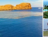 كيف نفهم قرار الخطوط البريطانية وقف رحلاتها إلى القاهرة؟ تراجع عائد السياحة الداخلية فى بريطانيا كلمة السر.. "البريكست" وهبوط الإسترلينى يحولان لندن لمدينة طاردة للأموال الأجنبية.. وتحذيرات رسمية تكشف الأسباب