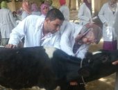 جامعة سوهاج :  قوافل بيطرية  بمركزي "اخميم والمراغة"