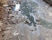 قارئ يشكو من انتشار مياه الصرف الصحى بقرية طنان قليوبية