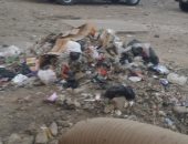 قارئ يشكو من انتشار القمامة والأوبئة بشارع أحمد عرابى فى شبرا الخيمة