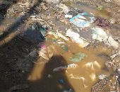 شكوى من مياه المجارى وتراكم القمامة فى شارع أبو خليل بالشرقية