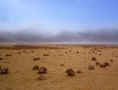 الإمارات للفضاء تستعرض فى "ليوا عجمان للرطب" إمكانية زراعة النخيل فى المريخ