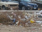 قارئ يشكو من انتشار القمامة بشارع أبو بكر الصديق مدينة نصر