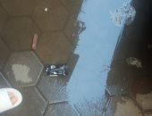 ماسورة مياه مكسورة بتقسيم الجمعية فى أرض اللواء.. والأهالى يستغيثون