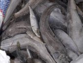 صور .. ضبط لحوم و دواجن منتهية الصلاحية فى مطعم بالأسكندرية 