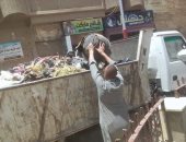 صور.. محافظة سوهاج: رفع 1600 طن قمامة ومخلفات صلبة خلال أسبوع