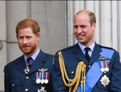 خبيرة بالشأن الملكى تكشف مواقف من طفولة الأميرين هارى ووليام.. اعرف التفاصيل