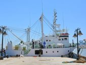 صور.. "معهد علوم البحار" يجرى أول رحلة بحرية للسفينية البحثية "اليرموك"