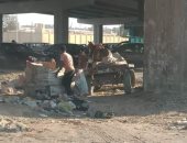 انتشار القمامة أمام عمارات ضباط ألماظة بطريق السويس .. صور