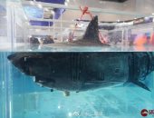 الكشف عن "قرش" روبوت خلال معرض للتكنولوجيا العسكرية الصينية