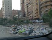 اضبط مخالفة.. تراكم القمامة فى شوارع مدينة المحلة "صور"
