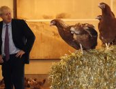 صور.. جونسون يزور مزرعة دواجن فى بداية حقبته كرئيس لوزراء بريطانيا