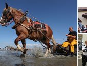 العالم هذا الصباح.. انطلاق مهرجان صيد الجمبرى بالخيول فى بلجيكا.. اشتباكات بهونج كونج للمطالبة بالإفراج عن معتقلى احتجاجات قانون التسليم.. وقفة بالشموع لتأبين ضحايا حادث إطلاق النار بولاية كاليفورنيا الأمريكية